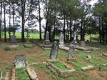 Emmaus - Zunckel & Other family graves - general views (7)