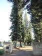 Empangeni Cemetery - Pioneer Gate - 1956 (3)