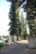 Empangeni Cemetery - Pioneer Gate - 1956 (4)