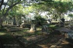 Empangeni Cemetery - Van Niekerk & Pretorius (38).JPG