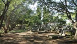 Empangeni Cemetery - graveyard views (9)