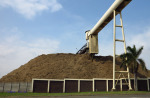 Felixton Mill -  Bagasse Dump