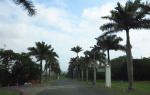 Felixton Mill - Mill entrance & Roads (5)