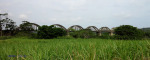 Felixton Mill - Nearbye Umhlatuze Bridge (1)