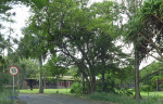 Felixton Mill - Offices (2)