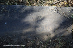 Estcourt-St-Mathews-Cemetery-Gerald-Muirhead