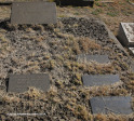 Estcourt-St-Mathews-Cemetery-Kingston-Barron-Ward-78