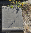 Estcourt-St-Mathews-Cemetery-Magdalene-Walker-1969-106