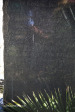 Estcourt-St-Mathews-Cemetery-unreadable