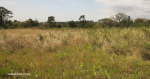 Eshowe-Kwa-Mondi-Mission-Fort-Eshowe-Norwegian-Cemetary-S28.53.597-E31.29.801-Elev-514m-12
