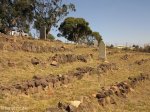 eshowe-british-military-cemetary-off-dinizulu-cemetary-views-s28-53-693-e31-29-779-elev-500m-26
