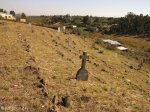 Eshowe-British-military-cemetary-off-dinizulu-general View