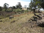 eshowe-british-military-cemetary-off-dinizulu-general-viewss28-53-693-e31-29-779-elev-500m-40