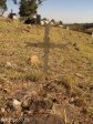 eshowe-british-military-cemetary-off-dinizulu-lt-asf-davison-99th-regt-s28-53-693-e31-29-779-elev-500m-37
