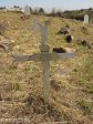eshowe-british-military-cemetary-off-dinizulu-midshipman-h-radford-hms-active-s28-53-693-e31-29-779-elev-500m-32