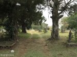 eshowe-cemetary-s-28-53-497-e-31-26-727-elev-519m-7