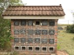 eshowe-cemetary-wall-s-28-53-497-e-31-26-727-elev-519m-12