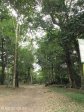 eshowe-dhlinza-forrest-bishops-seat-s28-53-762-e-31-27-128-elev-475m-6