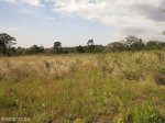 eshowe-kwa-mondi-mission-fort-eshowe-norwegian-cemetary-s28-53-597-e31-29-801-elev-514m-12