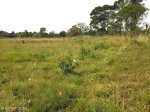 eshowe-kwa-mondi-mission-fort-eshowe-norwegian-cemetary-s28-53-597-e31-29-801-elev-514m-8
