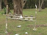 eshowe-marcel-terrace-public-works-site-s28-54-139-e31-27-592-elev-494m-4