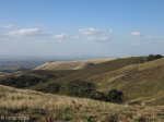 eshowe-rural-ngoya-forrest-s28-51-168-e31-39-033-elev-412m-2