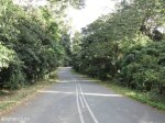 eshowe-rural-ngoya-forrest-s28-51-168-e31-39-033-elev-412m-3