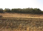 estcourt-willow-grange-gravesites-p173-battle-site-s-29-05-923-e-29-55-327-elev-1522m-6