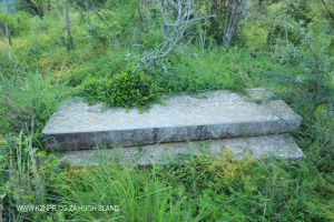 Estcourt Slievyre Farm