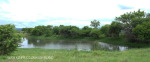 Slievyre Game Farm dam (2)