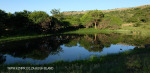 Slievyre Game Farm dam (3)