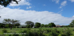 Slievyre Game Farm flora and fauna (3)