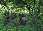 Slievyre Game Farm stone kraals (3)