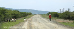 Slivyre Game Farm (5)