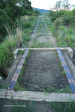 Slivyre Game Farm  Cabbage Express old tracks (6)