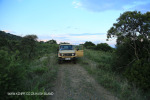 Slivyre Game Farm  Cabbage Express old tracks (8)