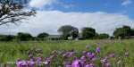 Slivyre Game Farm main farm house (8).
