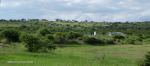 Cabbage Express Mielietuin store and rail embankments (3)