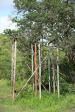 Cabbage Express Mona Tanks and Bridge  28.50.51 S 29.59.47 E Weenen Reserve (5)