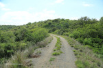 Cabbage Express  Tierkloof 4.5m arch culvert Weenen Reserve (3)