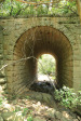 Cabbage Express  Tierkloof 4.5m arch culvert Weenen Reserve (6)