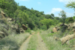 Cabbage Express Tierkloof line 28.50.24 .S 30.1.30 E (4)