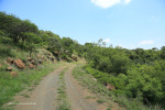 Cabbage Express Tierkloof line 28.50.24 S 30.1.30 E (8).