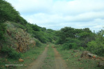 Cabbage Express Weenen Reserve  west of Mona East of red bridge(9)