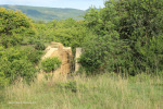 Cabbage Express culverts between Stanley and Mielietuin (3).