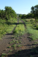 Cabbage Express rail line on Slievyre west of Haviland (3)