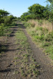 Cabbage Express rail line on Slievyre west of Haviland (4.) (1)