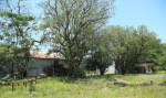 Weenen railway Station (8)