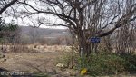 estcourt-school-alfred-st-s29-00-188-e-29-52-678-2
