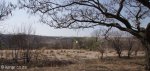 estcourt-school-alfred-st-s29-00-188-e-29-52-678-3